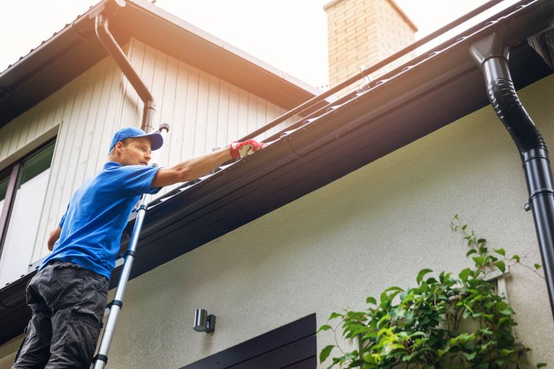 Professional Gutter Maintenance Teams