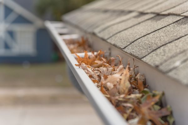 Leaf Barrier Installation in Auburn